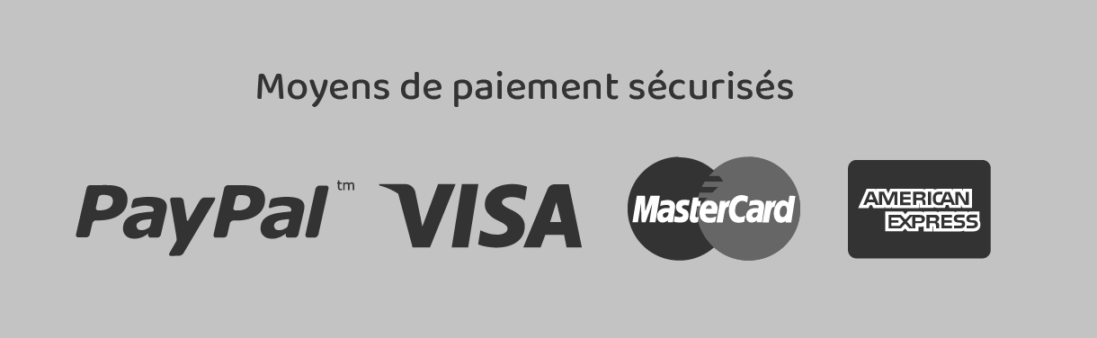 Bani_re_Wobz_Infos_Footer_-_Paiement_Plan_de_travail_1